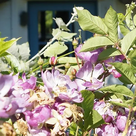 Holiday home Ferienkate Kap Eiderstedt *