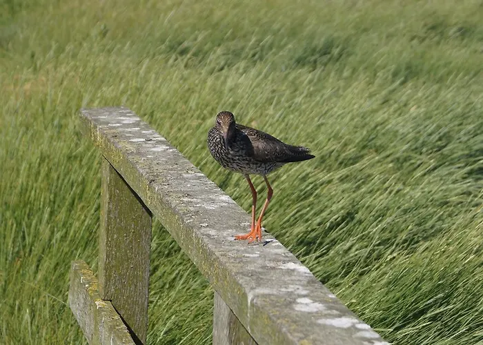 Vakantiehuis Ferienkate Kap Eiderstedt